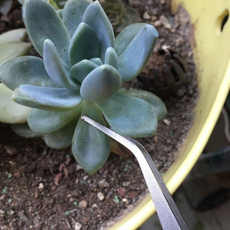 D8KF Durable Gardening Rake Mi - огляд і ціна Bonsai Garden Shop
