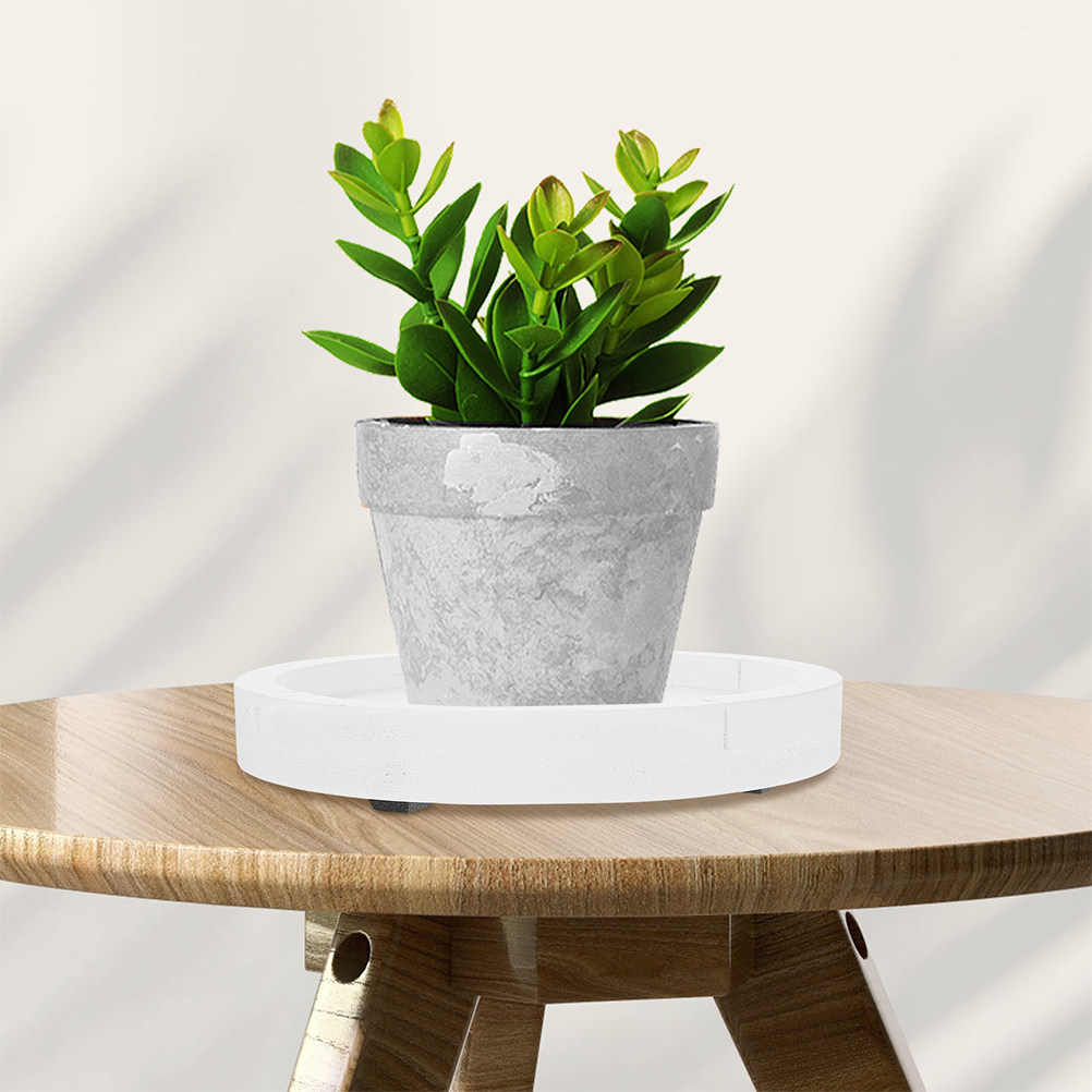 White Round Thickened Cement-L - огляд і ціна Humidity Tray Pebble