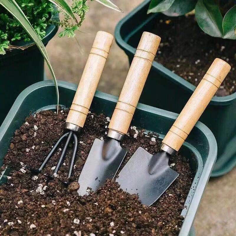 3PC/1Set Mini Gardening Tools  - огляд і ціна Soil Scoop Tool