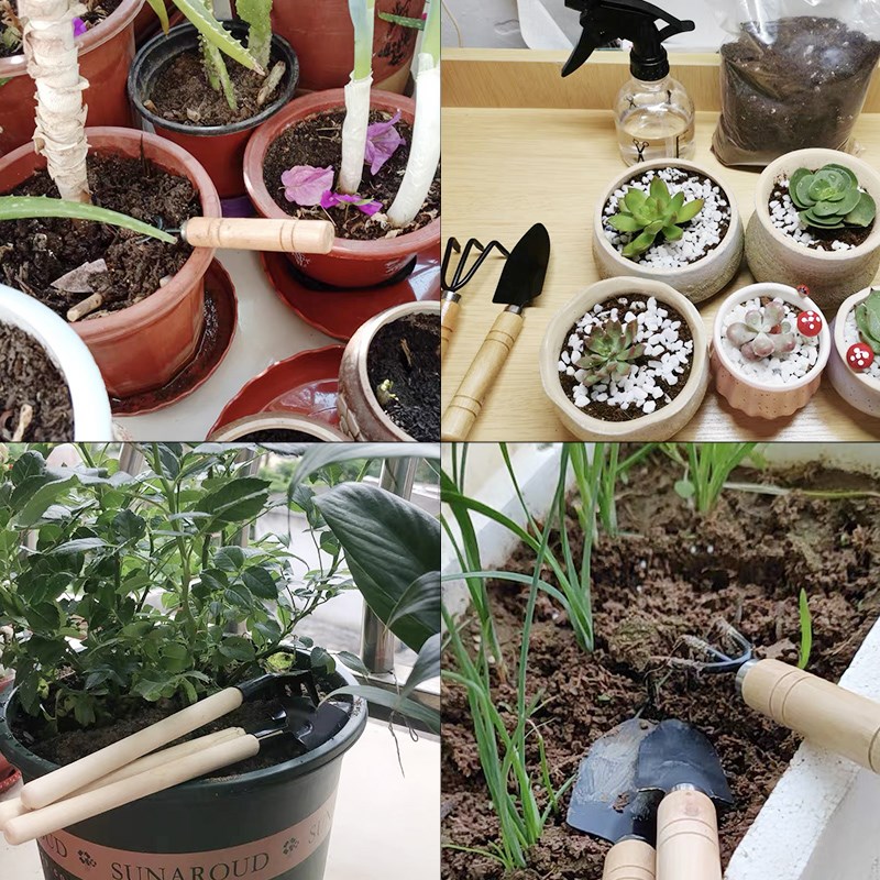 3PC/1Set Mini Gardening Tools  - огляд і ціна Soil Scoop Tool